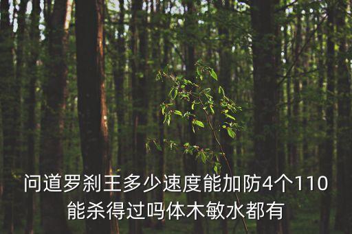 问道罗刹王多少速度能加防4个110能杀得过吗体木敏水都有