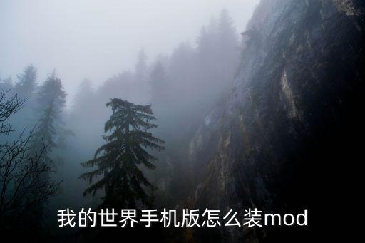 我的世界手机版怎么装mod