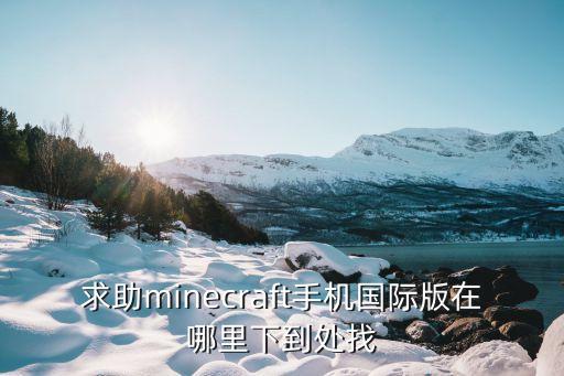 求助minecraft手机国际版在哪里下到处找