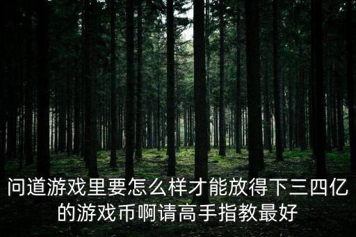 问道游戏里要怎么样才能放得下三四亿的游戏币啊请高手指教最好