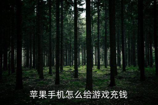 苹果手机怎么给游戏充钱