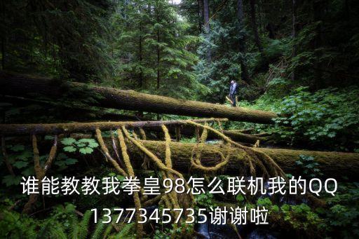 谁能教教我拳皇98怎么联机我的QQ1377345735谢谢啦