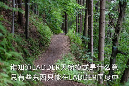谁知道LADDER天梯模式是什么意思有些东西只能在LADDER国度中