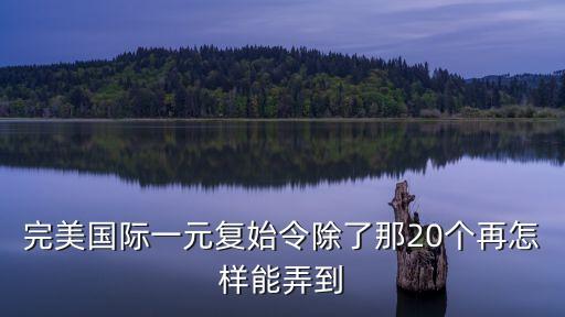 完美国际一元复始令除了那20个再怎样能弄到