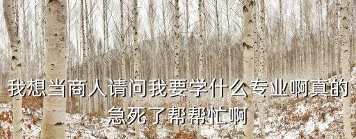 我想当商人请问我要学什么专业啊真的急死了帮帮忙啊