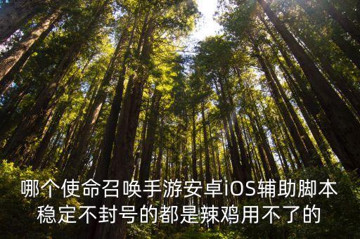 哪个使命召唤手游安卓iOS辅助脚本稳定不封号的都是辣鸡用不了的