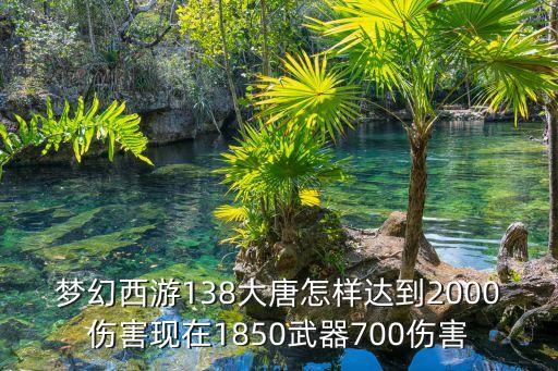 梦幻西游138大唐怎样达到2000伤害现在1850武器700伤害