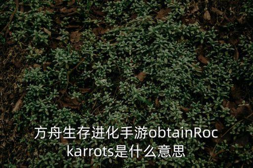 方舟生存进化手游obtainRockarrots是什么意思