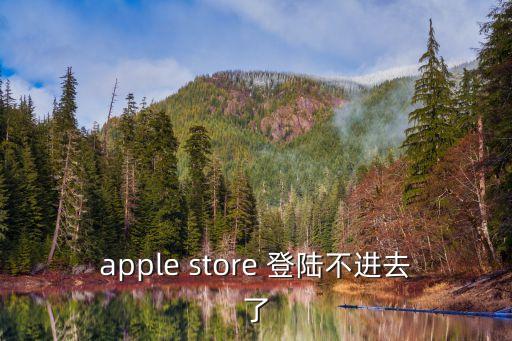 apple store 登陆不进去了