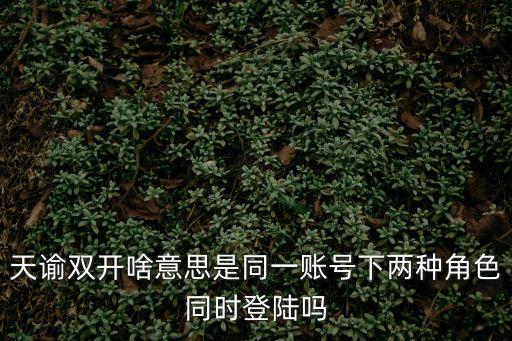 天谕双开啥意思是同一账号下两种角色同时登陆吗