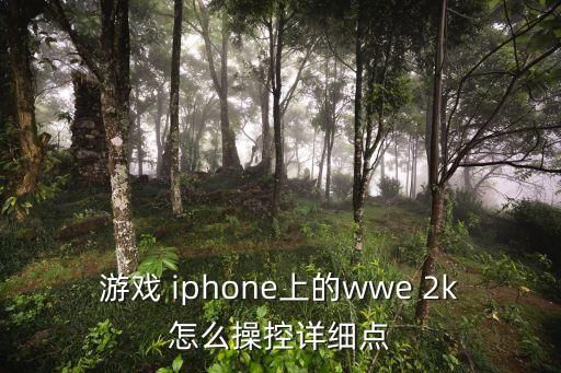 游戏 iphone上的wwe 2k怎么操控详细点