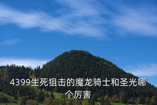 4399生死狙击的魔龙骑士和圣光哪个厉害