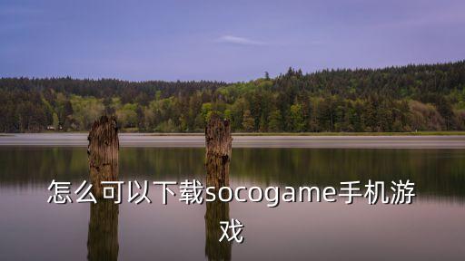 怎么可以下载socogame手机游戏