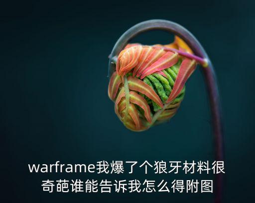 warframe我爆了个狼牙材料很奇葩谁能告诉我怎么得附图