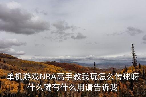 单机游戏NBA高手教我玩怎么传球呀什么键有什么用请告诉我