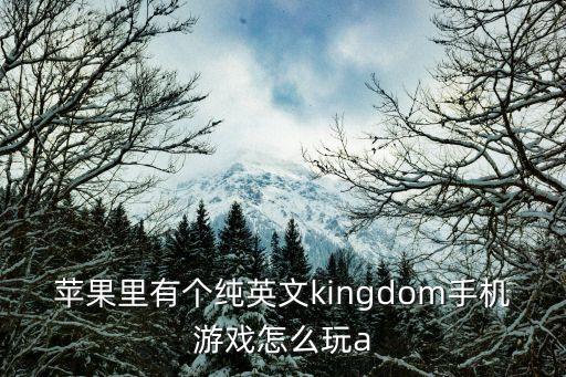 kingdom手游怎么玩，国王游戏怎么玩