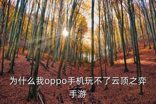 为什么我oppo手机玩不了云顶之弈手游