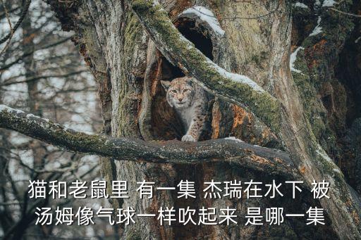 猫和老鼠里 有一集 杰瑞在水下 被汤姆像气球一样吹起来 是哪一集