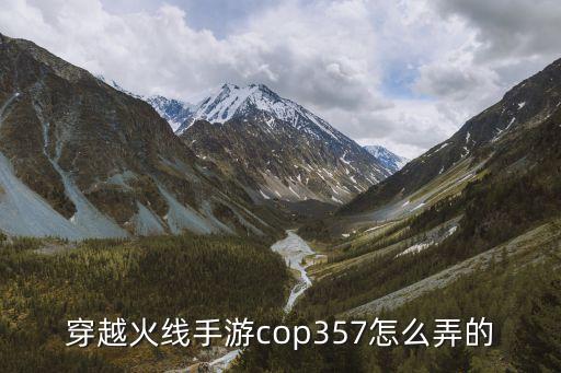 穿越火线手游cop357怎么弄的