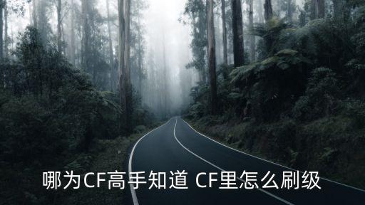 cf手游雨墨怎么打满20，哪为CF高手知道 CF里怎么刷级