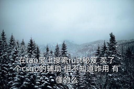 在tao宝上搜索rust秘笈 买了个csgo的辅助 但不知道咋用 有懂的么