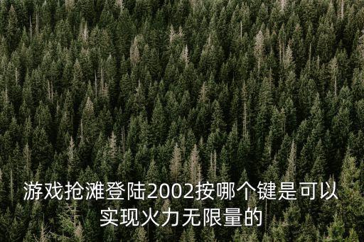 游戏抢滩登陆2002按哪个键是可以实现火力无限量的