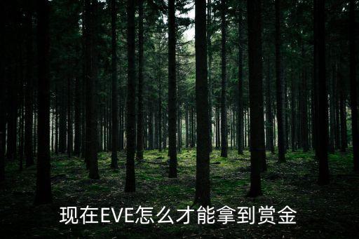 现在EVE怎么才能拿到赏金