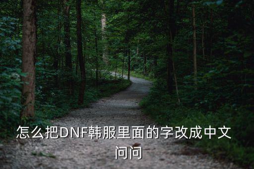 怎么把DNF韩服里面的字改成中文  问问