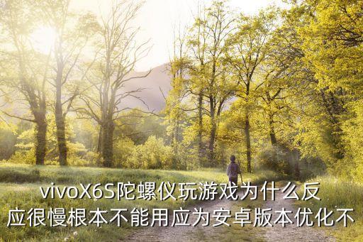 vivoX6S陀螺仪玩游戏为什么反应很慢根本不能用应为安卓版本优化不