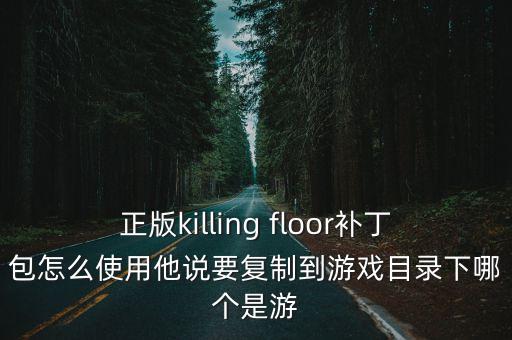 正版killing floor补丁包怎么使用他说要复制到游戏目录下哪个是游