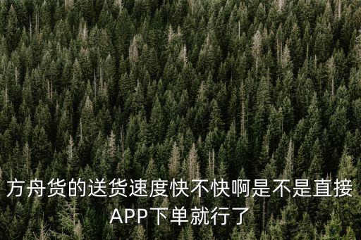 方舟货的送货速度快不快啊是不是直接APP下单就行了