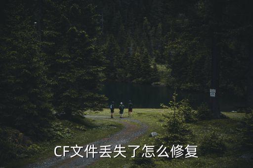 CF文件丢失了怎么修复