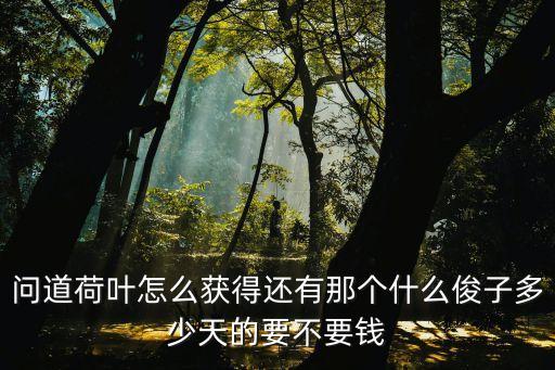 问道荷叶怎么获得还有那个什么俊子多少天的要不要钱