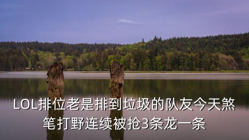 LOL排位老是排到垃圾的队友今天煞笔打野连续被抢3条龙一条