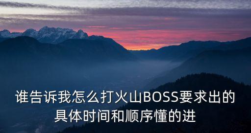 谁告诉我怎么打火山BOSS要求出的具体时间和顺序懂的进