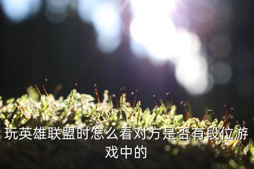 玩英雄联盟时怎么看对方是否有段位游戏中的