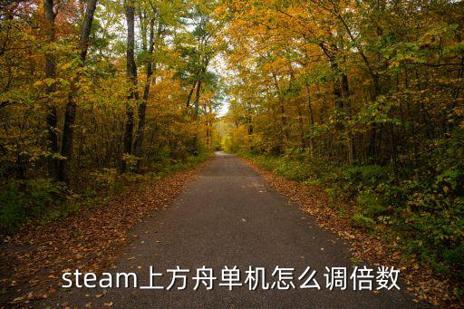 steam上方舟单机怎么调倍数