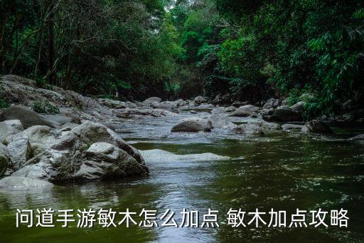 问道手游敏木怎么加点 敏木加点攻略