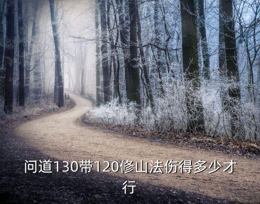 问道130带120修山法伤得多少才行