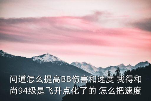 问道怎么提高BB伤害和速度 我得和尚94级是飞升点化了的 怎么把速度