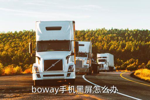 boway手机黑屏怎么办