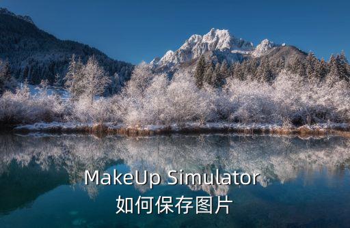 MakeUp Simulator 如何保存图片