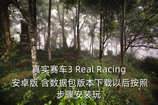 真实赛车3 Real Racing 安卓版 含数据包版本下载以后按照步骤安装玩