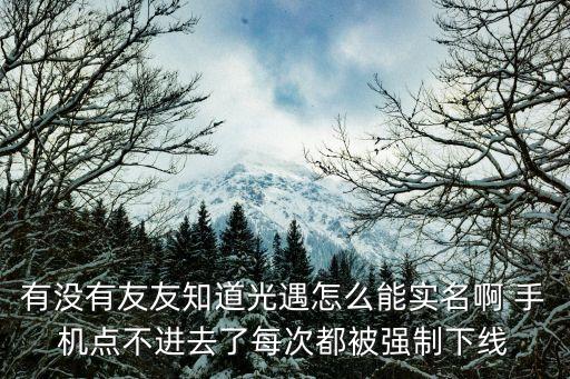 有没有友友知道光遇怎么能实名啊 手机点不进去了每次都被强制下线