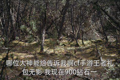 哪位大神能给告诉我啊cf手游王者礼包无影 我现在900钻石一