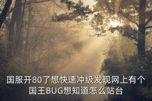 国服开80了想快速冲级发现网上有个国王BUG想知道怎么站台