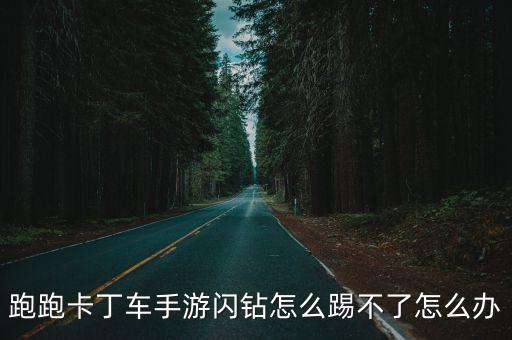 跑跑卡丁车手游闪钻怎么踢不了怎么办