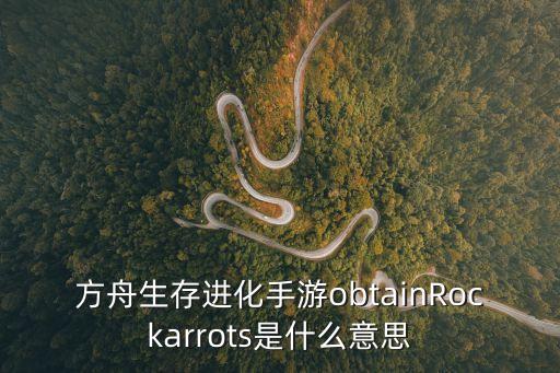 方舟生存进化手游obtainRockarrots是什么意思