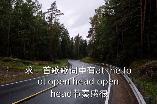 求一首歌歌词中有at the fool open head open head节奏感很