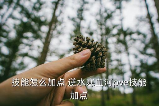 技能怎么加点 逆水寒血河pve技能加点